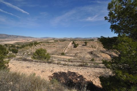 Terra a La Zarza, Murcia, La Zarza - € 39.900 | Ref: 44021c2603 - foto 12