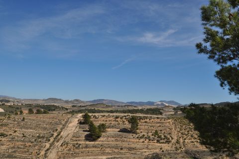 Terra a La Zarza, Murcia, La Zarza - € 39.900 | Ref: 44021c2603 - foto 13