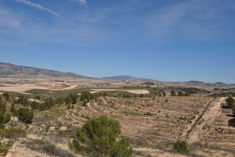 Terra a La Zarza, Murcia, La Zarza - € 39.900 | Ref: 44021c2603 - foto 14