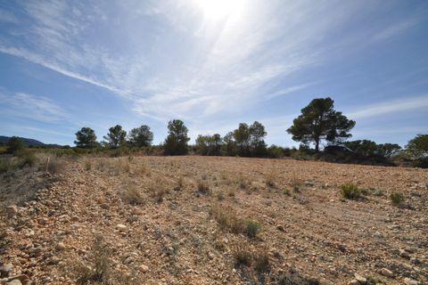 Terra a La Zarza, Murcia, La Zarza - € 39.900 | Ref: 44021c2603 - foto 15