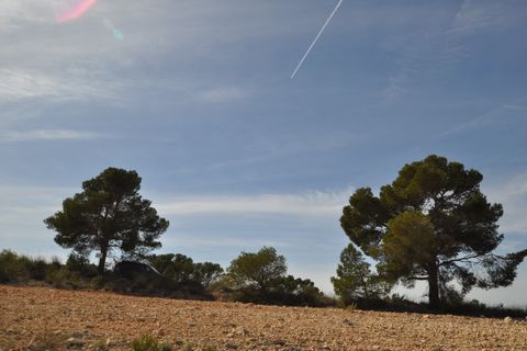Terra a La Zarza, Murcia, La Zarza - € 39.900 | Ref: 44021c2603 - foto 16