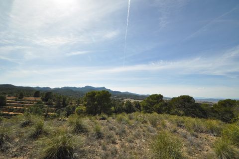Terra a La Zarza, Murcia, La Zarza - € 39.900 | Ref: 44021c2603 - foto 18