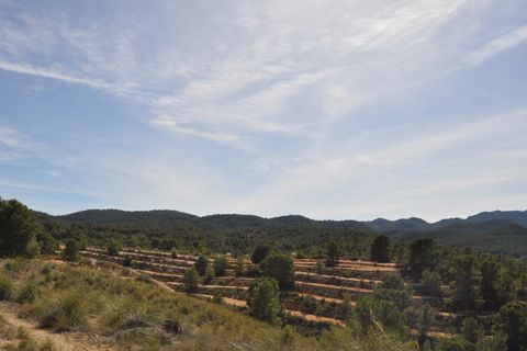Terra a La Zarza, Murcia, La Zarza - € 39.900 | Ref: 44021c2603 - foto 19