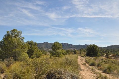Terra a La Zarza, Murcia, La Zarza - € 39.900 | Ref: 44021c2603 - foto 20
