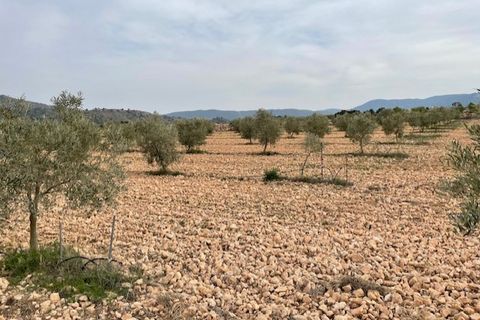 Tomt i Yecla, Murcia, Yecla - € 54 900 | Ref: 44013c2603 - foto 4