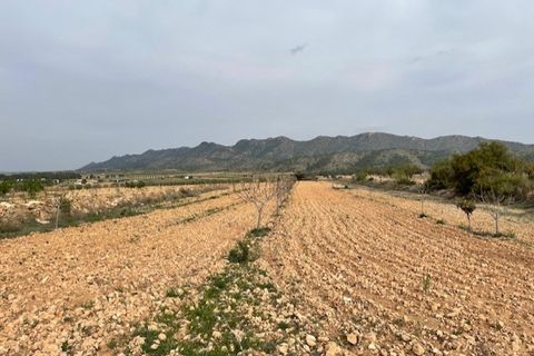 Tomt i Yecla, Murcia, Yecla - € 54 900 | Ref: 44013c2603 - foto 7
