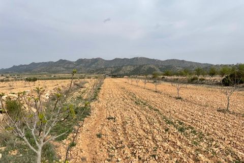 Tomt i Yecla, Murcia, Yecla - € 54 900 | Ref: 44013c2603 - foto 9