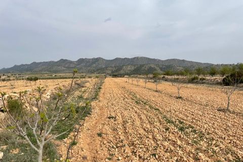 Tomt i Yecla, Murcia, Yecla - € 54 900 | Ref: 44013c2603 - foto 10