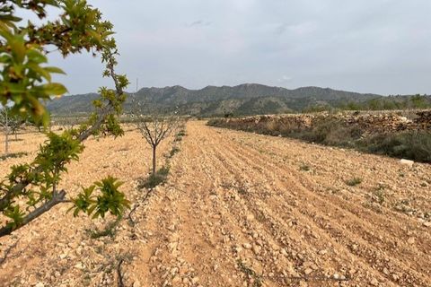 Tomt i Yecla, Murcia, Yecla - € 54 900 | Ref: 44013c2603 - foto 11