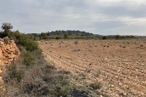 Tomt i Yecla, Murcia, Yecla - € 54 900 | Ref: 44013c2603 - foto 16