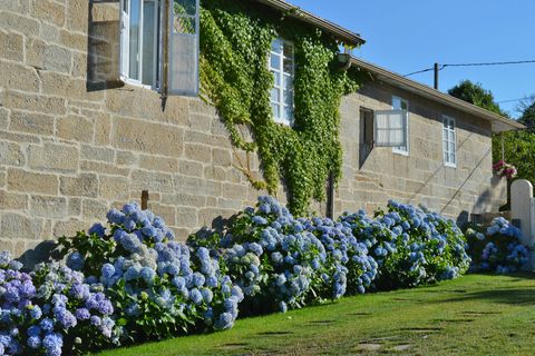 Landejendom i Maceda, Orense, Maceda - € 395.000 | Ref: 2830 - foto 33