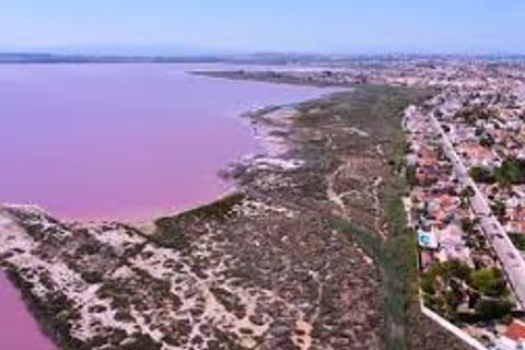 Bungalou a Torrevieja, Alicante, Torrevieja - € 135.000 | Ref: B-3478 - foto 18