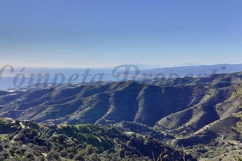 Villa i Torrox, Malaga, Torrox - € 800/månad | Ref: RCP227 - foto 13