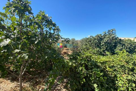 Landejendom i Huercal-Overa, Almeria, Huercal-Overa - € 155.000 | Ref: 2133 - foto 26