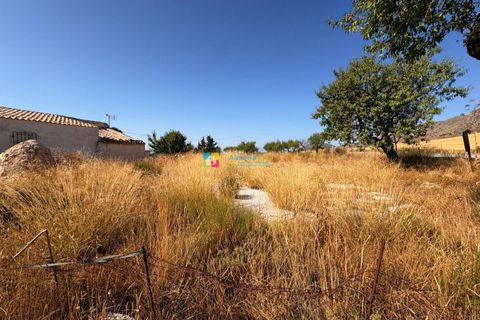 Landejendom i Velez-Rubio, Almeria, Velez-Rubio - € 95.000 | Ref: 2805 - foto 16