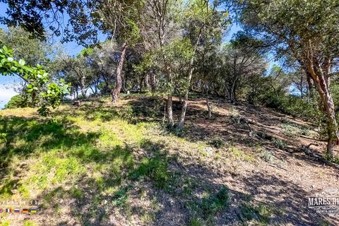 Helårsgrund i Lloret De Mar, Gerona, Lloret De Mar - € 420.000 | Ref: PAR0157 - foto 3