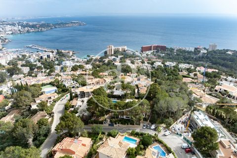 Villa a Calvia, Mallorca, Calvia - € 2.800.000 | Ref: VPM2603032 - foto 41
