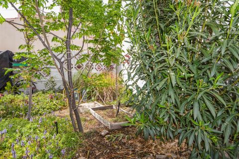 Masia a Mogan, Gran Canaria, Mogan - € 850/mes | Ref: R0108/5259 - foto 23