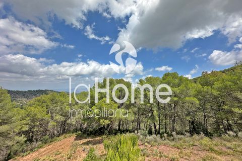 Masia a Estivella, Valencia, Estivella - € 110.000 | Ref: 1902VE - foto 23