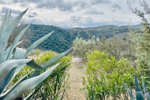 Landejendom i Loja, Granada, Loja - € 173.000 | Ref: ID1222 - foto 30