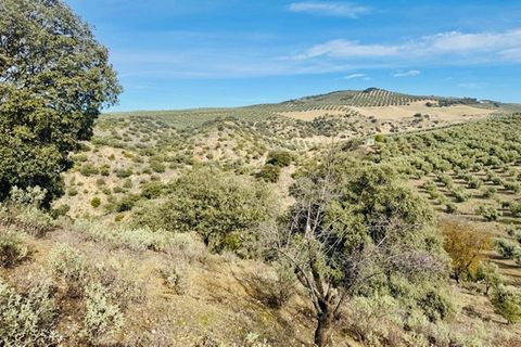 Landejendom i Loja, Granada, Loja - € 173.000 | Ref: ID1222 - foto 15