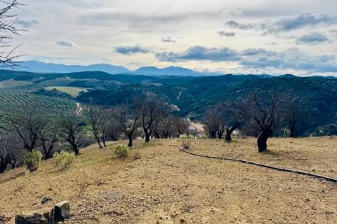 Landejendom i Loja, Granada, Loja - € 173.000 | Ref: ID1222 - foto 11
