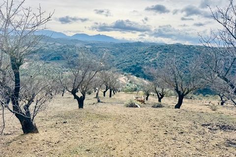 Landejendom i Loja, Granada, Loja - € 173.000 | Ref: ID1222 - foto 5