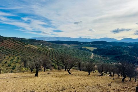 Landejendom i Loja, Granada, Loja - € 173.000 | Ref: ID1222 - foto 13
