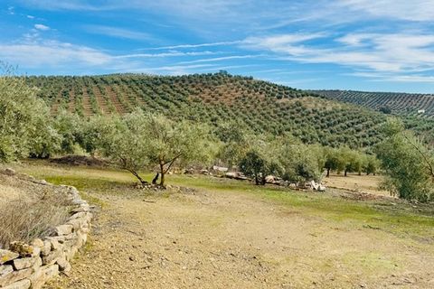 Landejendom i Loja, Granada, Loja - € 173.000 | Ref: ID1222 - foto 33