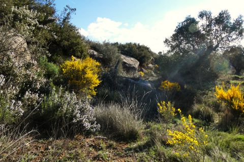 Finca i Fabara, Zaragoza, Fabara - € 15 500 | Ref: 1114 - foto 21