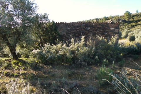 Finca i Fabara, Zaragoza, Fabara - € 15 500 | Ref: 1114 - foto 7