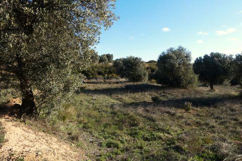 Finca i Fabara, Zaragoza, Fabara - € 15 500 | Ref: 1114 - foto 19