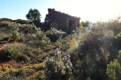 Finca i Fabara, Zaragoza, Fabara - € 15 500 | Ref: 1114 - foto 9