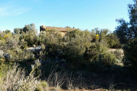 Finca i Fabara, Zaragoza, Fabara - € 15 500 | Ref: 1114 - foto 20