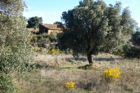 Finca i Fabara, Zaragoza, Fabara - € 15 500 | Ref: 1114 - foto 18