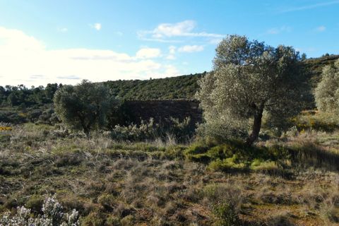 Finca i Fabara, Zaragoza, Fabara - € 15 500 | Ref: 1114 - foto 24