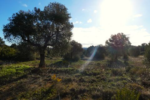 Finca i Fabara, Zaragoza, Fabara - € 15 500 | Ref: 1114 - foto 16