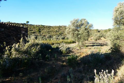 Finca i Fabara, Zaragoza, Fabara - € 15 500 | Ref: 1114 - foto 6