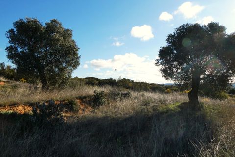 Finca i Fabara, Zaragoza, Fabara - € 15 500 | Ref: 1114 - foto 23