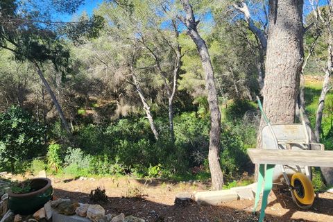 Villa a Pinar De Campoverde, Alicante, Pinar De Campoverde - € 375.000 | Ref: 105 - foto 19