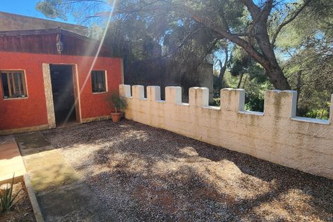 Villa a Pinar De Campoverde, Alicante, Pinar De Campoverde - € 375.000 | Ref: 105 - foto 32
