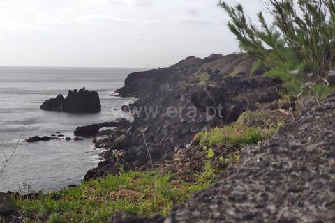Villa a Madalena, Pico, Madalena - € 49.000 | Ref: 374240074 - foto 7