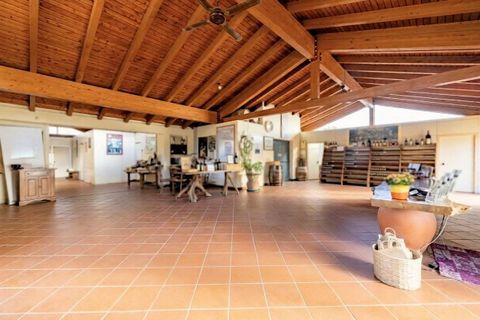Landejendom i Siena, Siena, Siena - € 9.500.000 | Ref: 1691 - foto 2