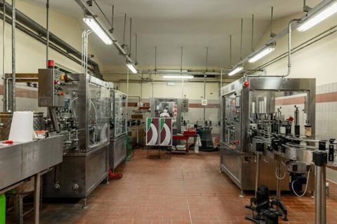 Landejendom i Siena, Siena, Siena - € 9.500.000 | Ref: 1691 - foto 3