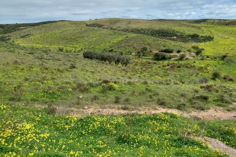 Helårsgrund i Sagres, Faro, Sagres - € 245.000 | Ref: 10452 - foto 4