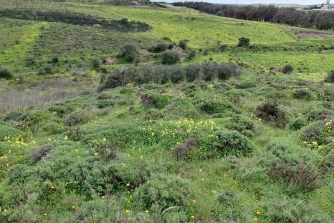 Helårsgrund i Sagres, Faro, Sagres - € 245.000 | Ref: 10452 - foto 10