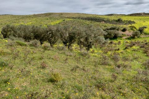 Helårsgrund i Sagres, Faro, Sagres - € 245.000 | Ref: 10452 - foto 12