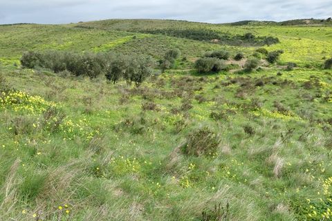 Helårsgrund i Sagres, Faro, Sagres - € 245.000 | Ref: 10452 - foto 14