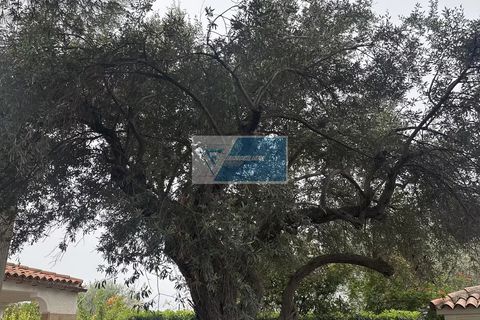 Villa i Noto, Siracusa, Noto - € 330.000 | Ref: NT VMAR 17 - foto 8