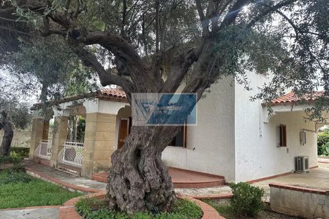 Villa i Noto, Siracusa, Noto - € 330.000 | Ref: NT VMAR 17 - foto 13